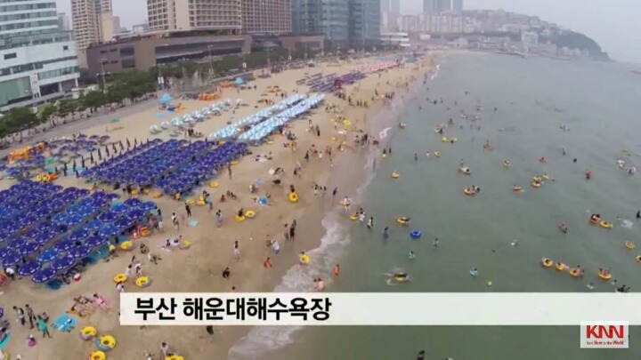 해수욕장 개인 파라솔 논란