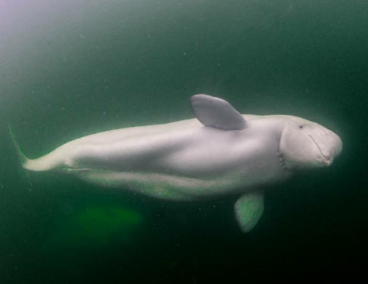 995F04475B1F0BB0135793