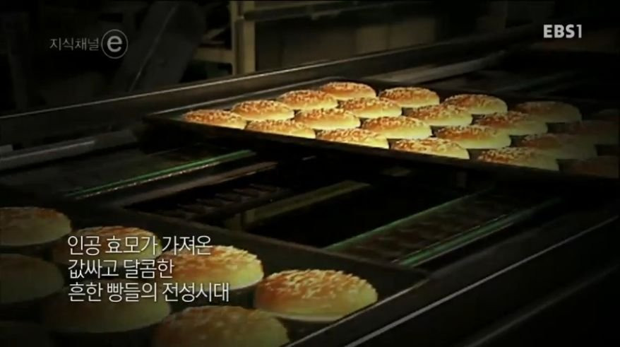 99B638445B244A1F2668BC