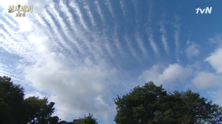 갈비를 먹어야 하는 날