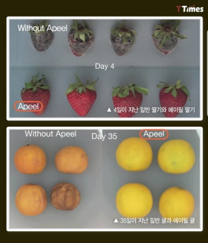 995D6B4B5BA9ED6F243F75