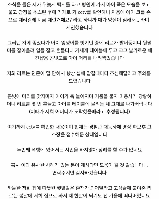 애견 미용사한테 맞아 죽은 개