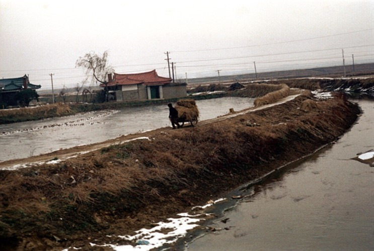 1972년 경기도 김포