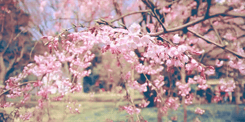 990B733D5AC787EE3AD7FD