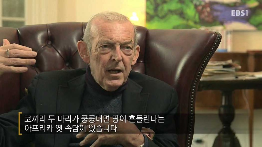 한국의 생존 전략