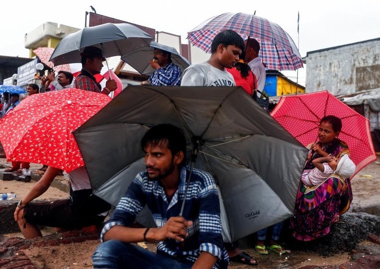 2016 카레국의 일상