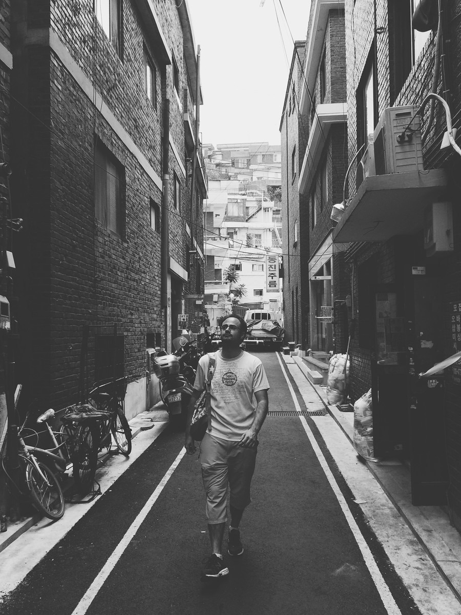 252B145056A84A9C0393F3