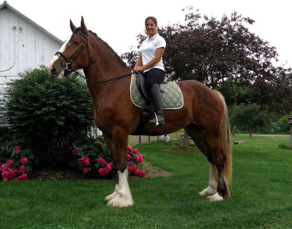 99F9EA465BB7685E15FDEF