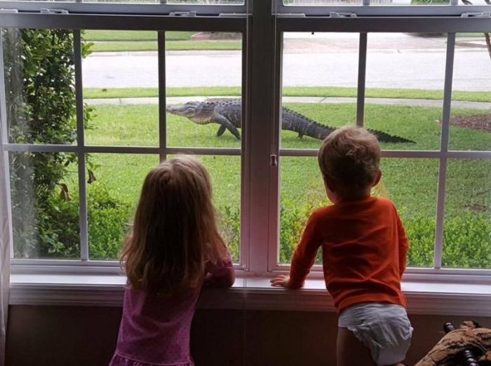 미국 플로리다의 일상