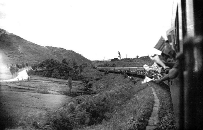 월남전 참전 병사 평균