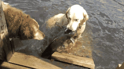 맨입 낚시의 달인