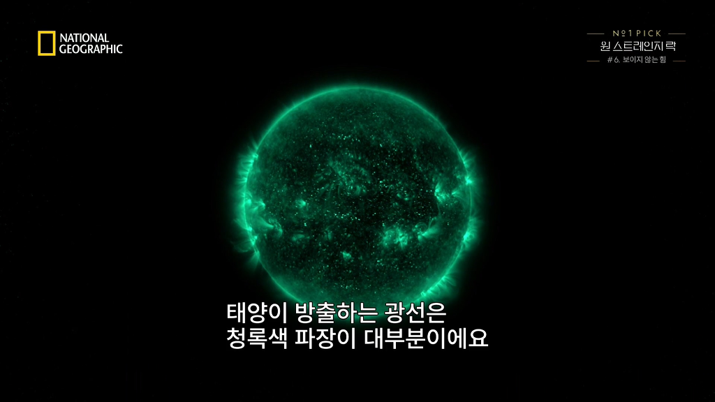 나뭇잎이 녹색인 이유