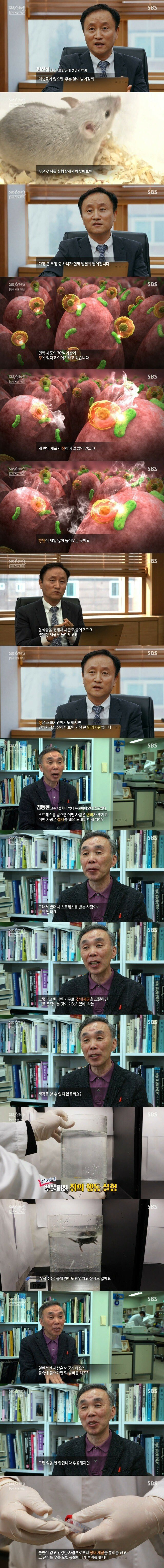 제 2의 뇌라 할 수 있는 장기