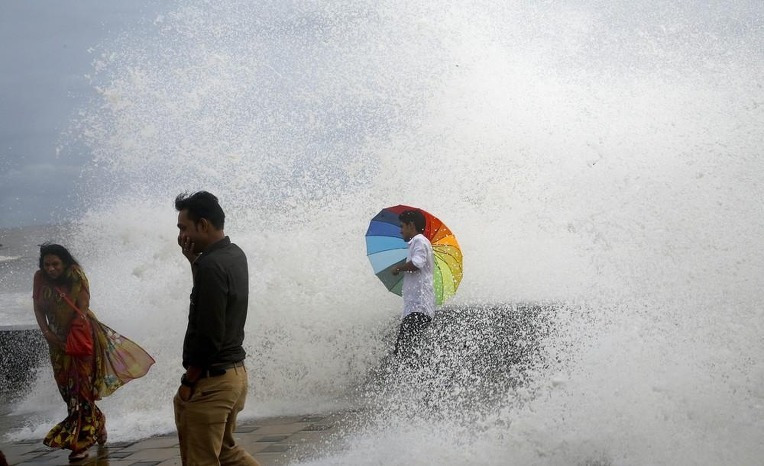 2016 카레국의 일상