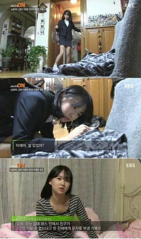 동물농장 뇌성마비 고양이녀 근황