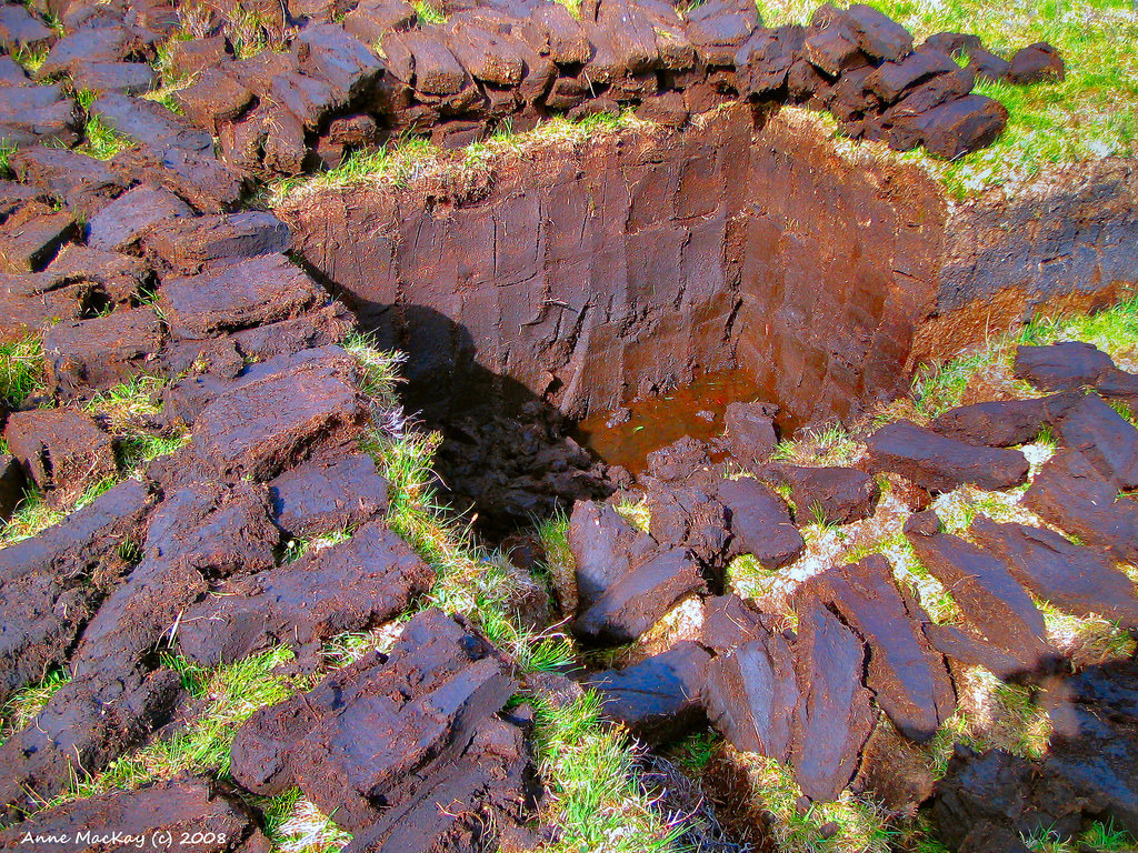 9981213D5B716478267377