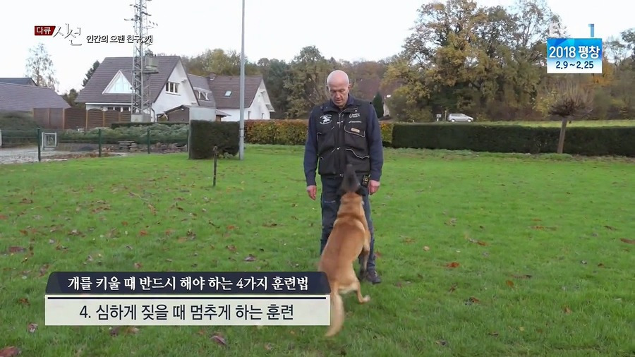 인간의 오랜 친구