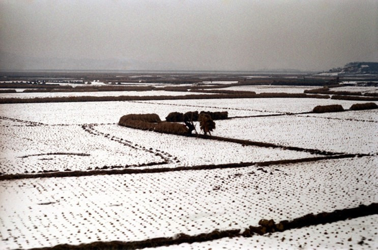 1972년 경기도 김포