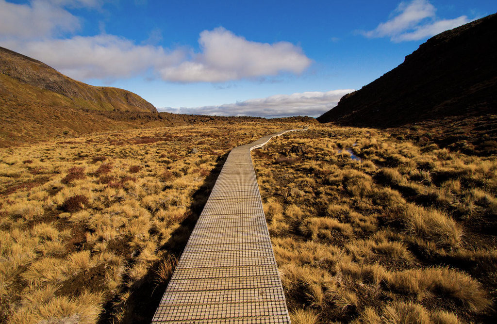 2740103558B2B5C30F9764