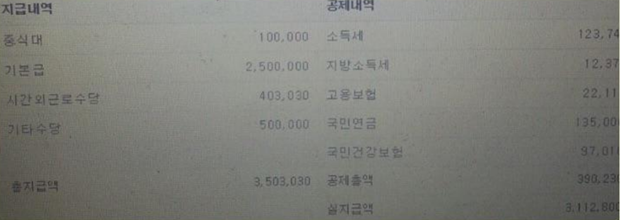 각종 직업별 급여 명세서