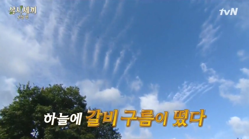 갈비를 먹어야 하는 날