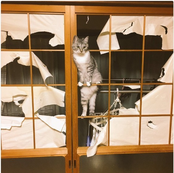 267D024C5959CD4638D1D5