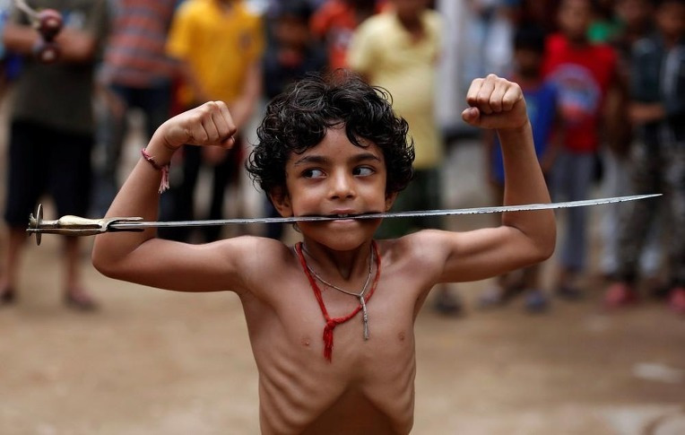 2016 카레국의 일상