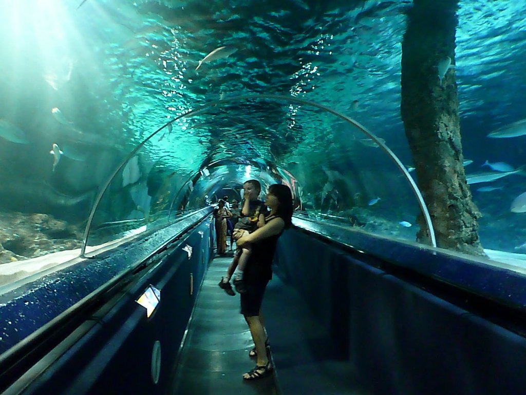 2224B43B58B2B5A22A1C17