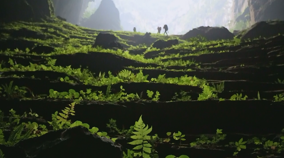 가보고 싶은 동굴