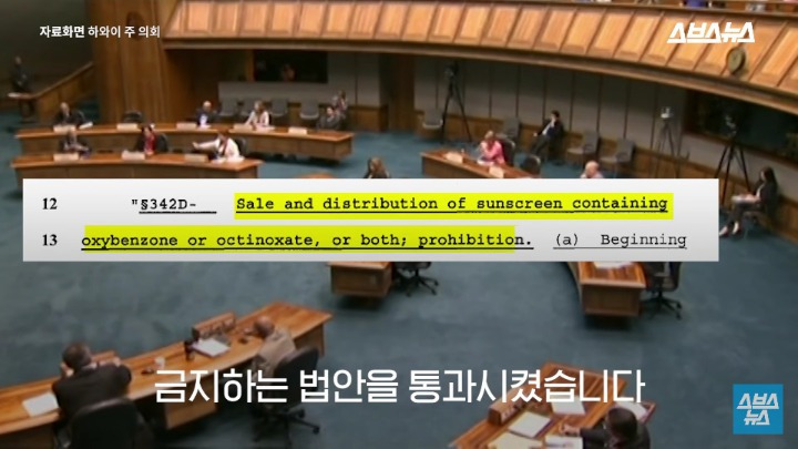 여름 필수품 선크림이 하와이 산호초 초토화 시킨 이유