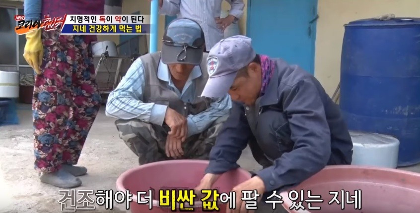 지네를 건강하게 먹는 방법