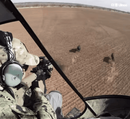 천조국의 멧돼지 사냥