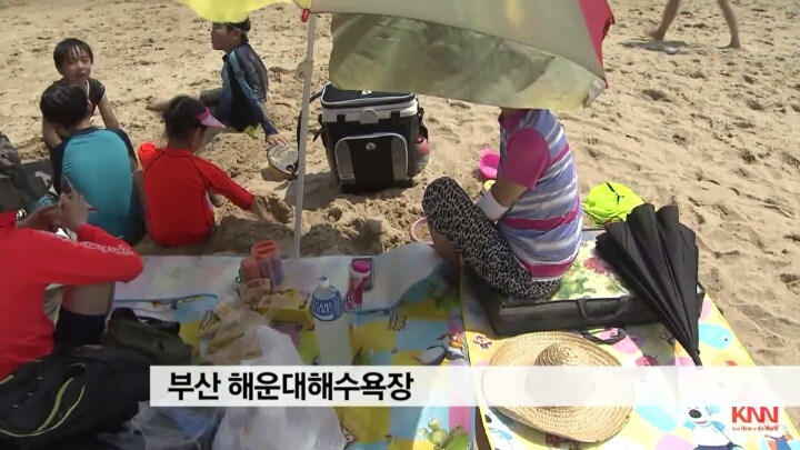 해수욕장 개인 파라솔 논란