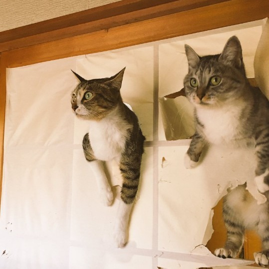 256319485959CD481062FB