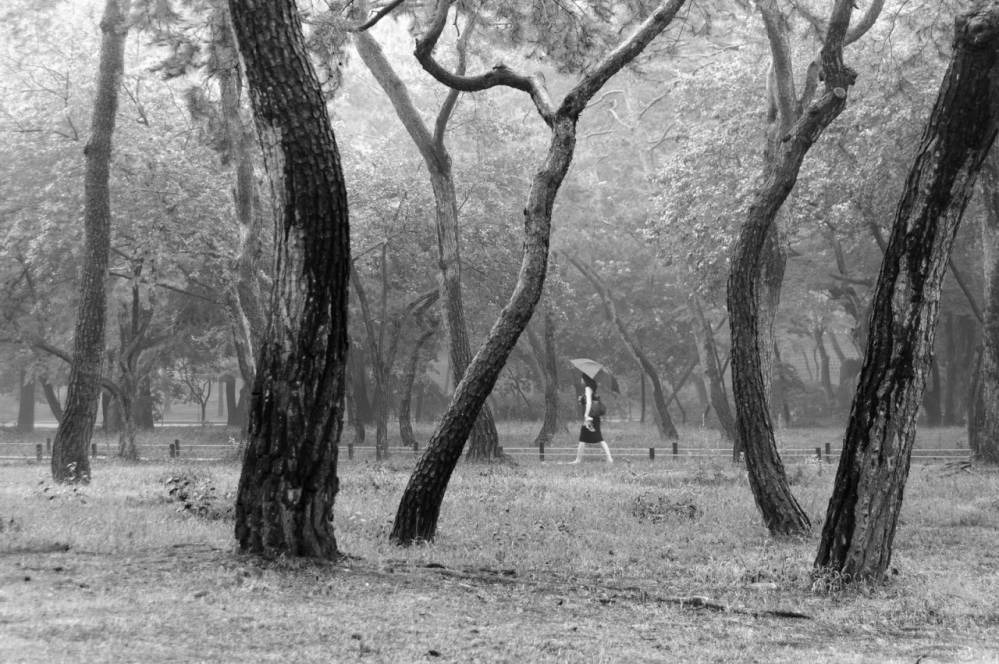 2416284856A84A9F074FD2