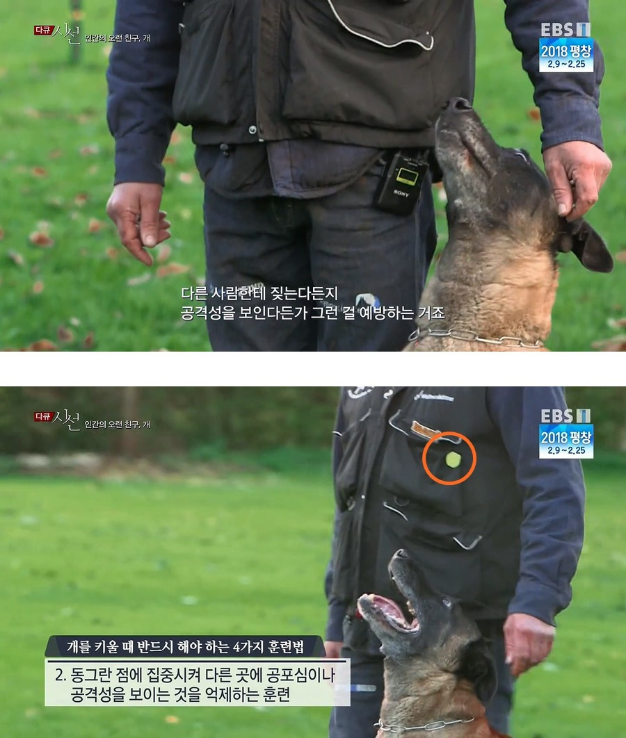 인간의 오랜 친구