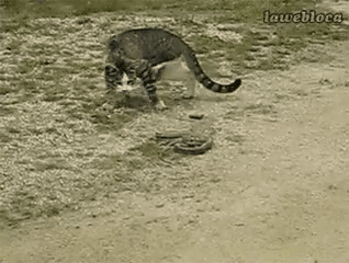 99A6B84B5ABE24F331E597