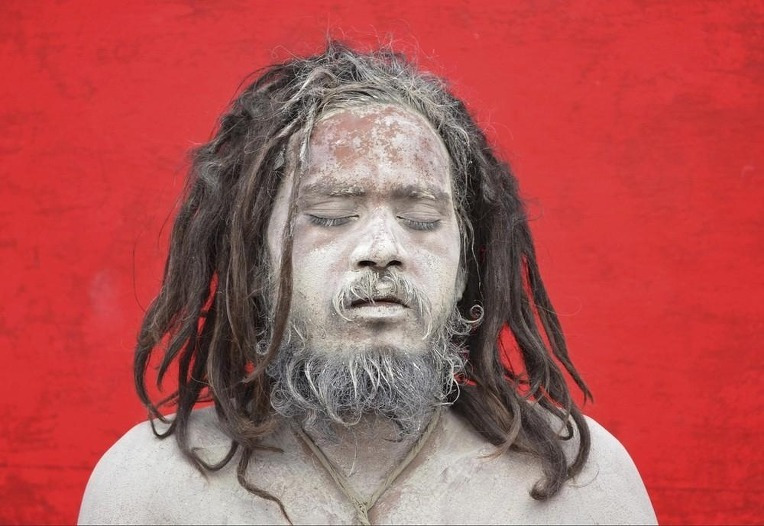 2016 카레국의 일상