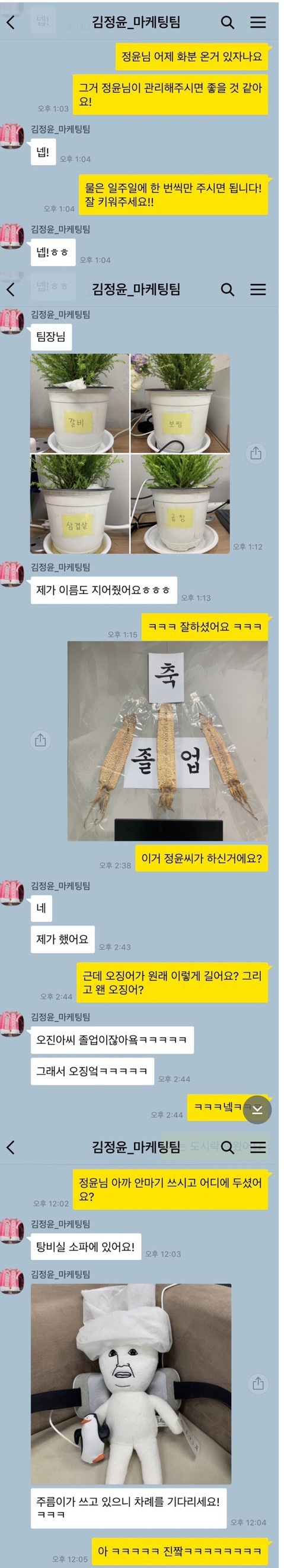 심상치 않은 신입