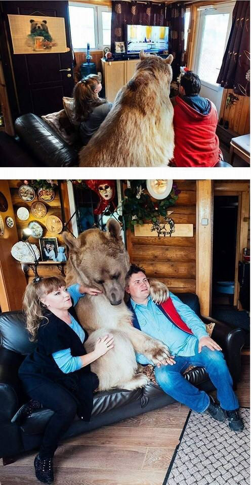 곰과 함께 자란 남자