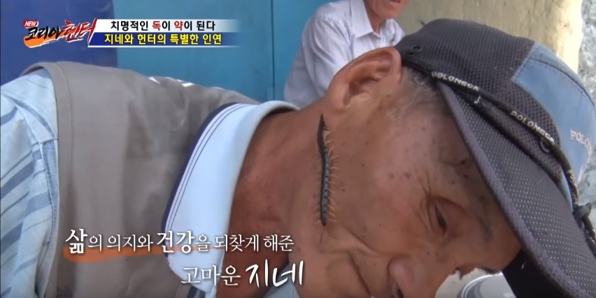 지네를 건강하게 먹는 방법