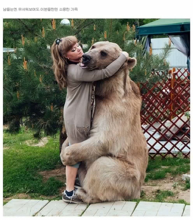 곰과 함께 자란 남자