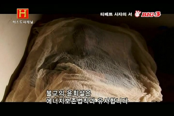 윤회설과 에너지 보존 법칙