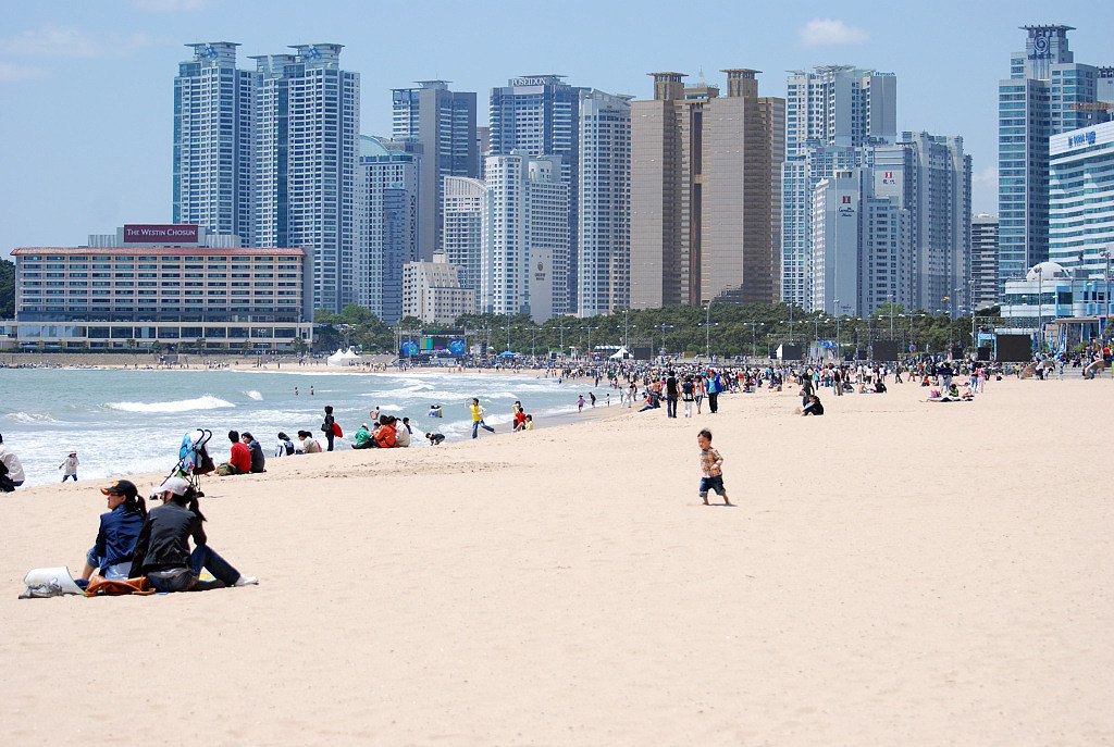 부산 아파트의 조망