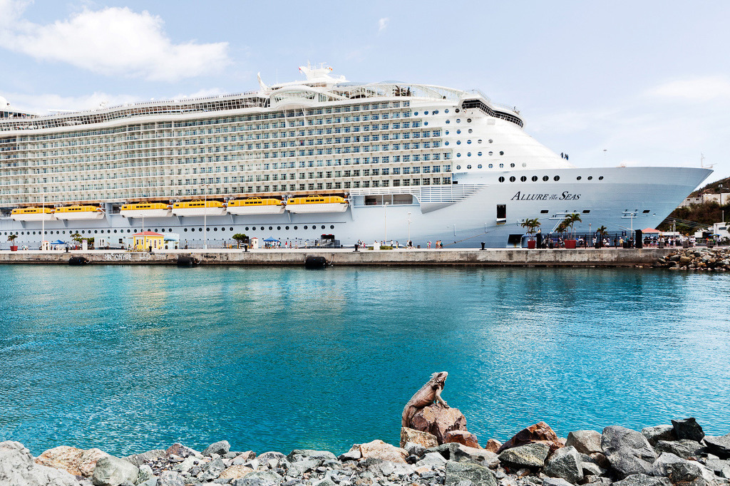 세계에서 가장 큰 크루즈선