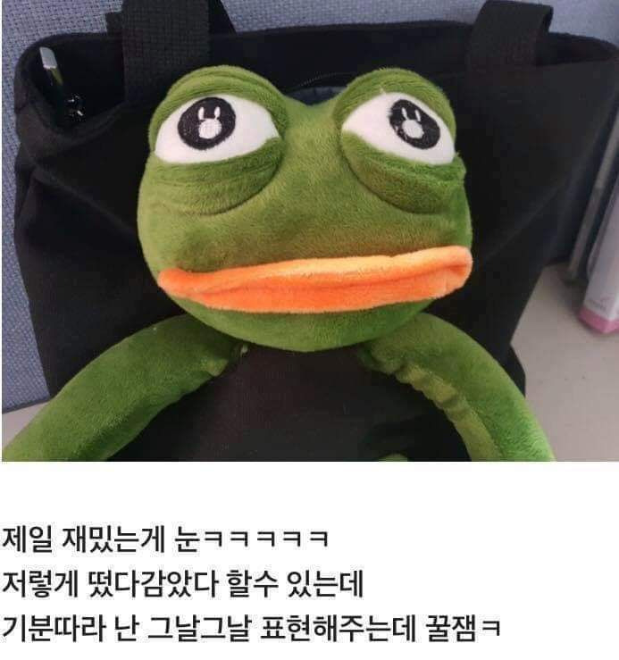 슬픈개구리 페페 에코백 후기