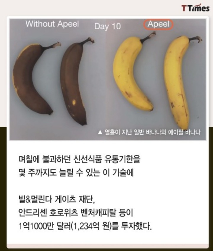 995B18445BA9ED6E1AF1CE