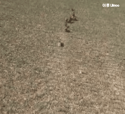 천조국의 멧돼지 사냥