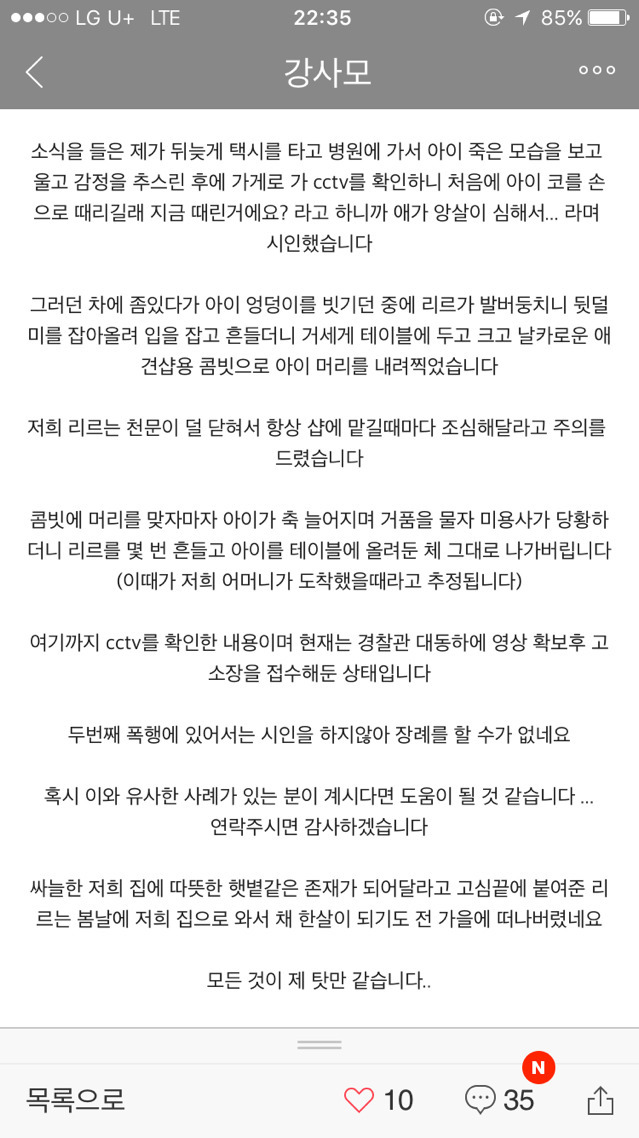 애견 미용사한테 맞아 죽은 개