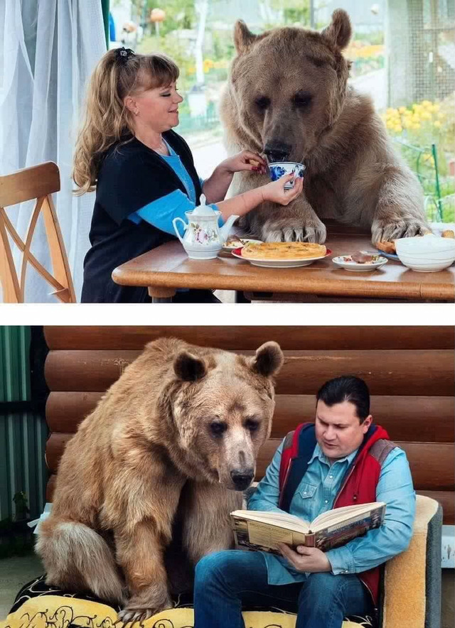 곰과 함께 자란 남자